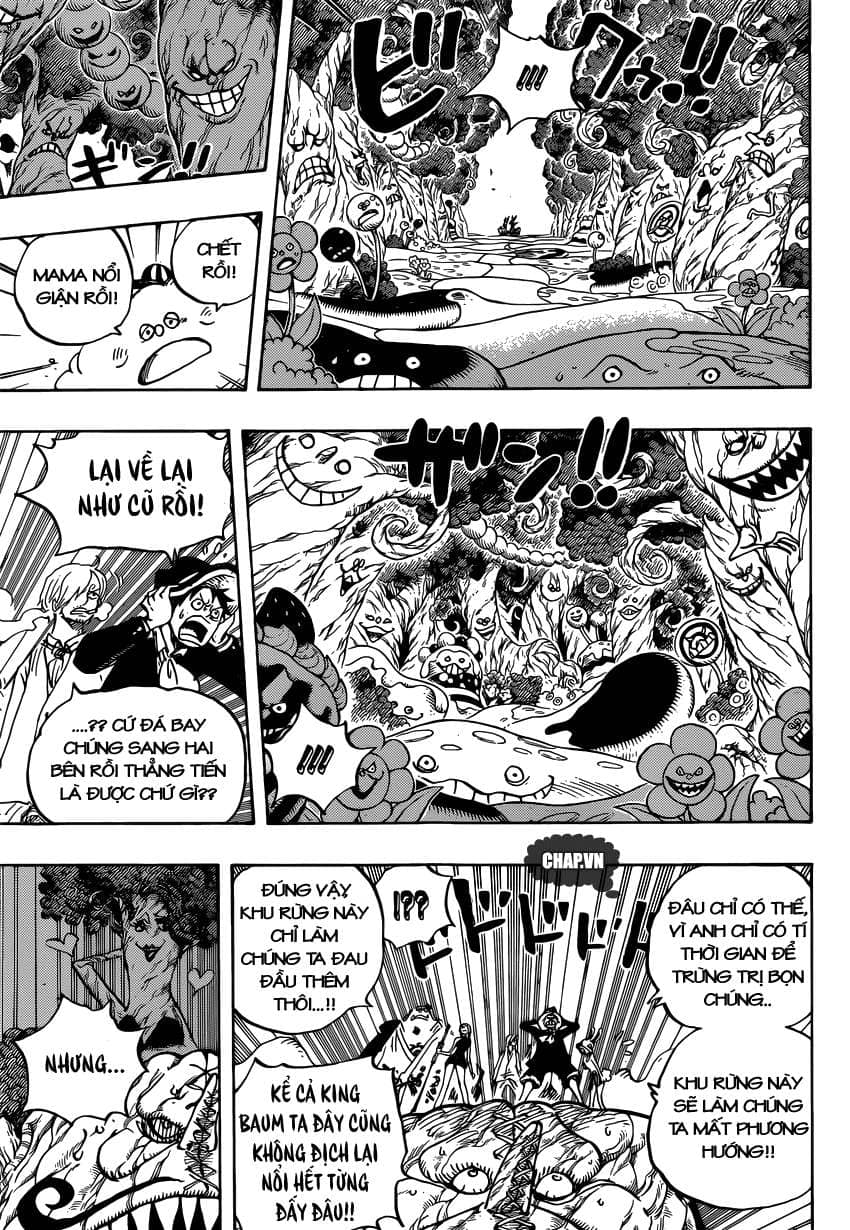 One Piece - Chương 874 - ảnh 11
