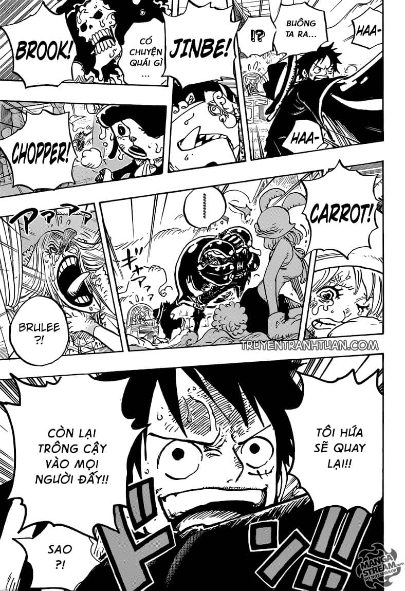 One Piece - Chương 878 - ảnh 16