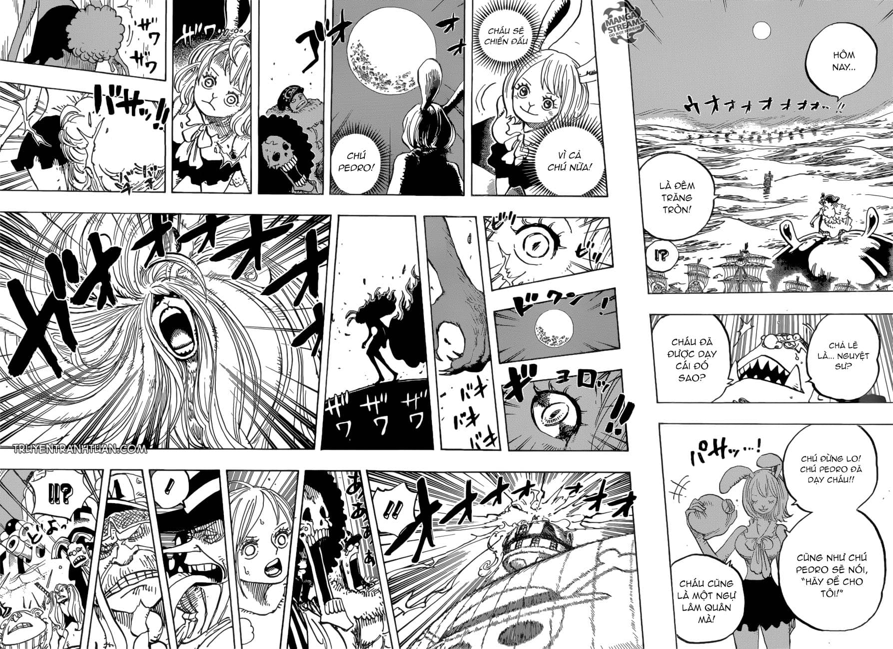 One Piece - Chương 888 - ảnh 9