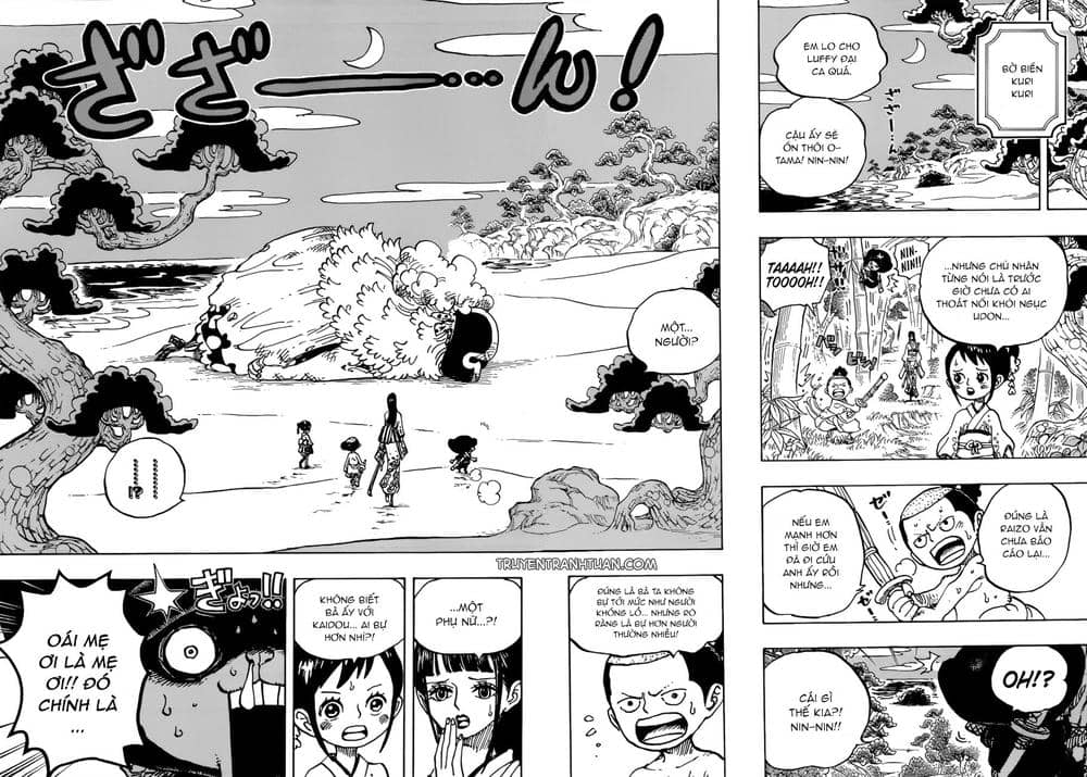 One Piece - Chương 931 - ảnh 13