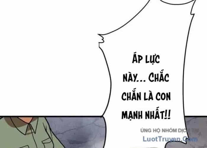 Phản Anh Hùng:  Kẻ Dưới Đáy Hệ Thống Chức Nghiệp - Chương 8 - ảnh 244