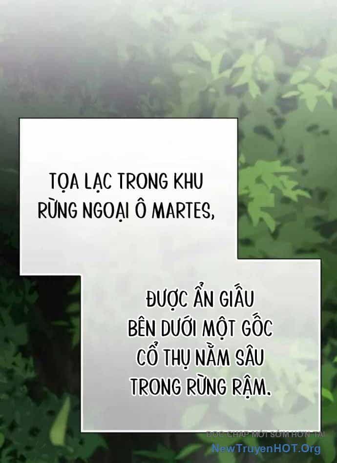 Pháp Sư Thiên Tài Phá Vỡ Giới Hạn - Chương 17 - ảnh 12