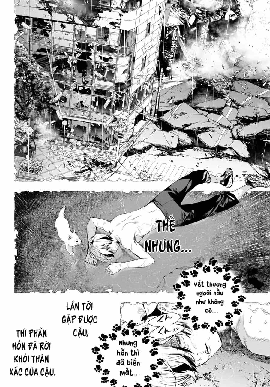 Pháp Sư Tro Tàn - Chương 88 - ảnh 14