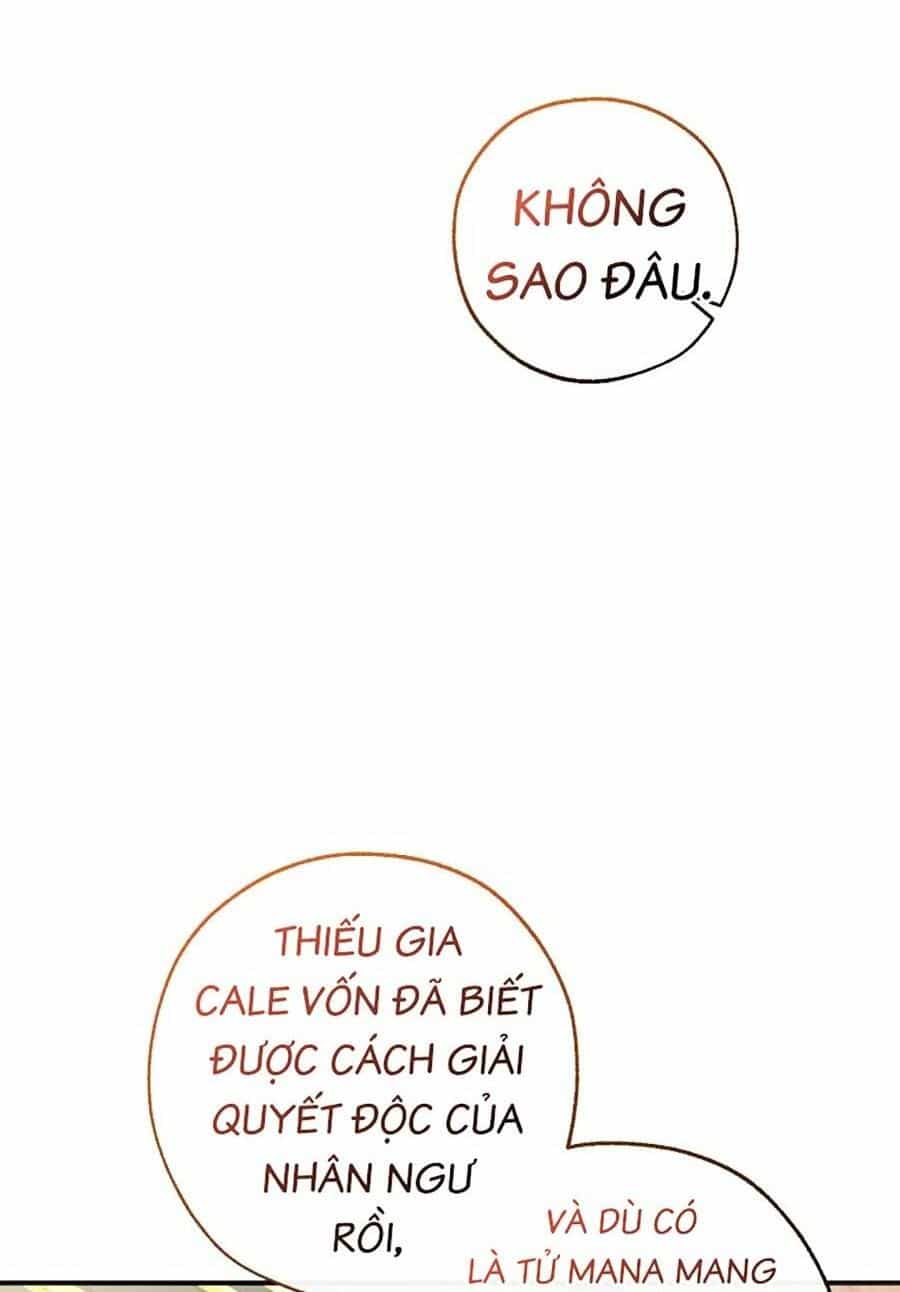 Phế Vật Dòng Dõi Bá Tước - Chương 116 - ảnh 44