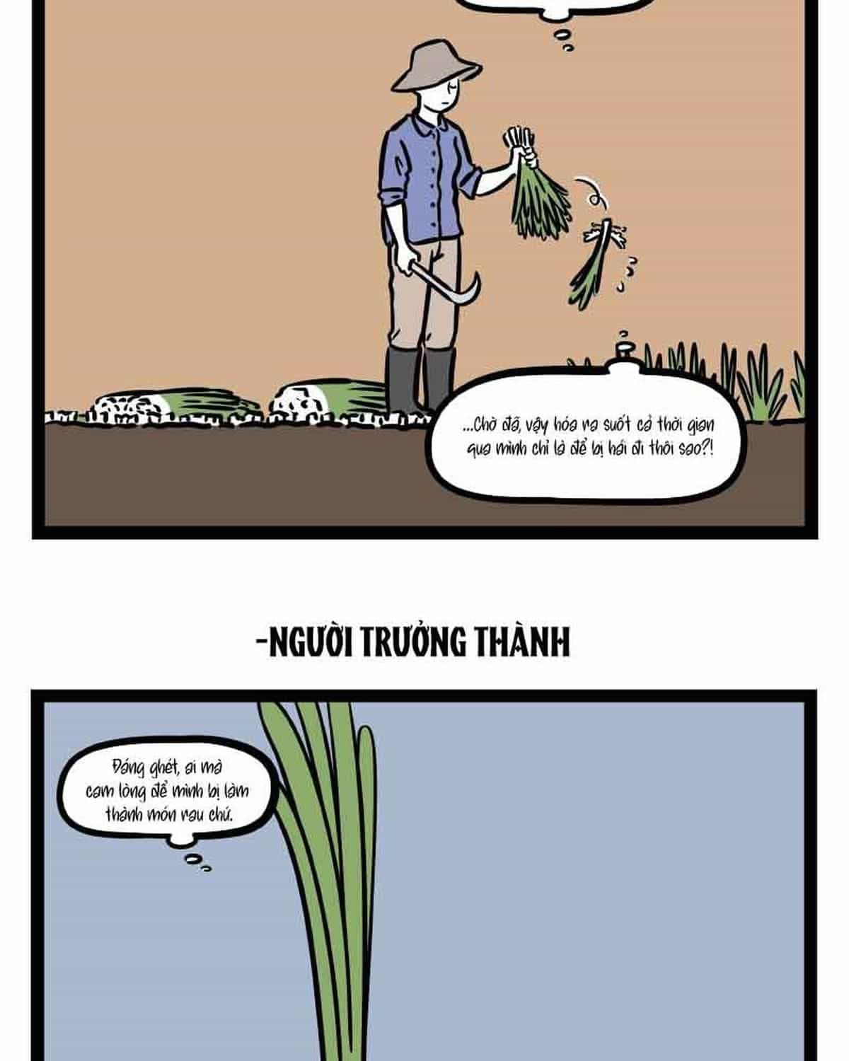 Phi Nhân - Chương 304 - ảnh 4
