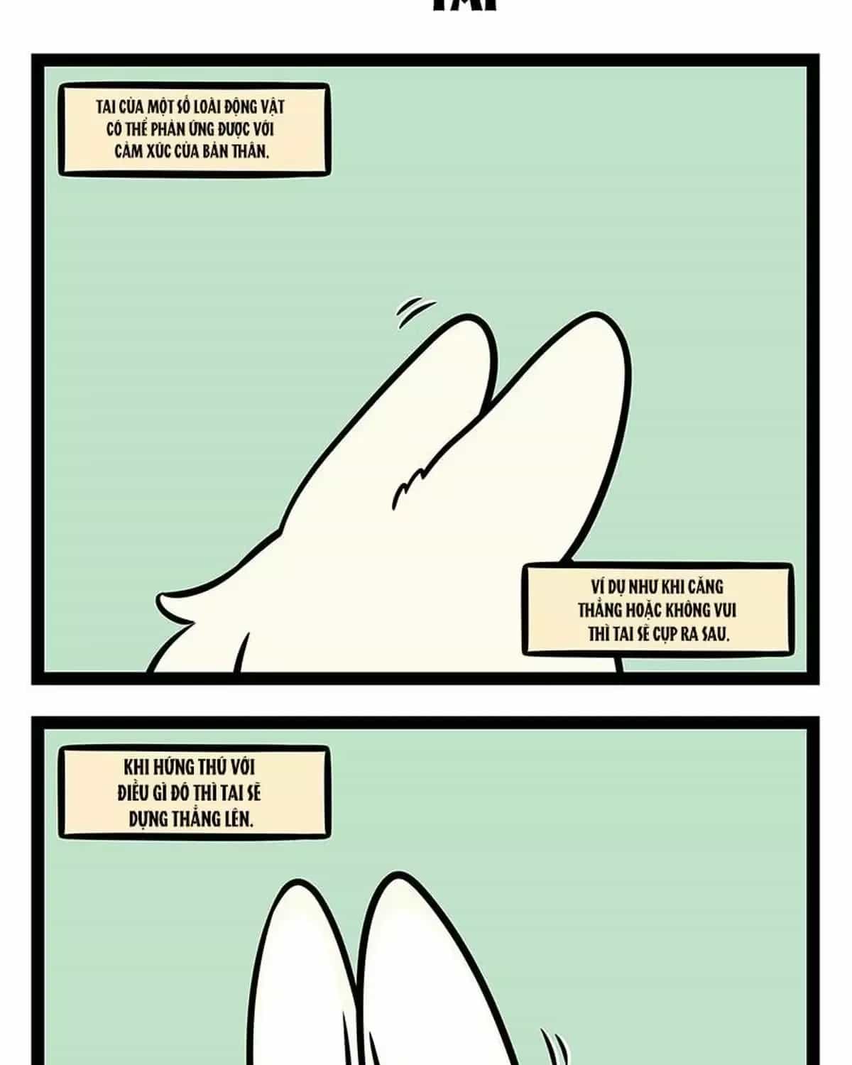Phi Nhân - Chương 376 - ảnh 3