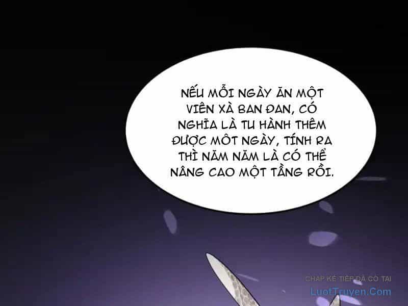 Phổ La Chi Chủ - Chương 18 - ảnh 106