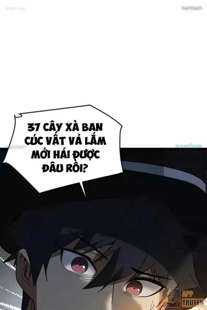 Phổ La Chi Chủ - Chương 24 - ảnh 27