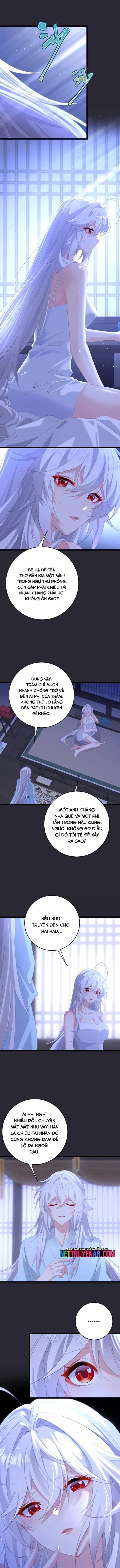 Phơi Bày Thân Phận Nữ Của Hoàng Đế - Chương 71 - ảnh 2