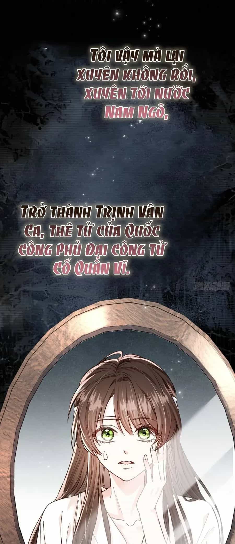 Phu Nhân Hôm Nay Muốn Hòa Ly - Chương 1 - ảnh 3