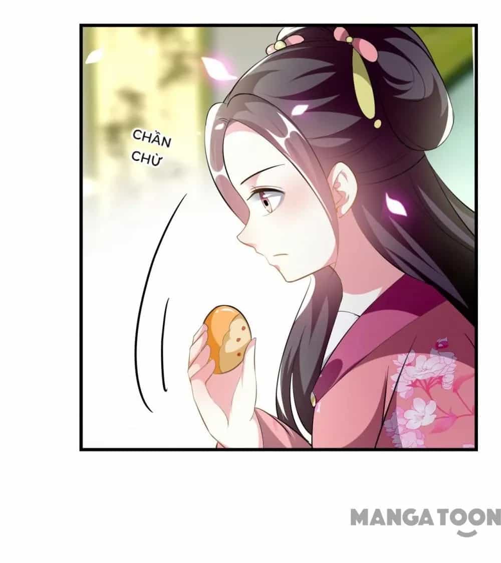 Phúc Hắc Vương Gia Đừng Làm Loạn - Chương 227 - ảnh 22