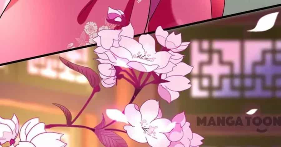 Phúc Hắc Vương Gia Đừng Làm Loạn - Chương 114 - ảnh 4