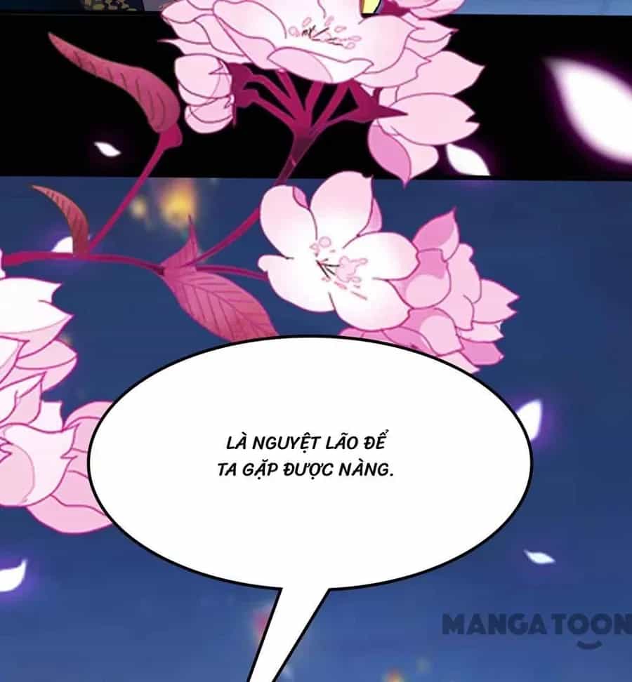 Phúc Hắc Vương Gia Đừng Làm Loạn - Chương 115 - ảnh 15