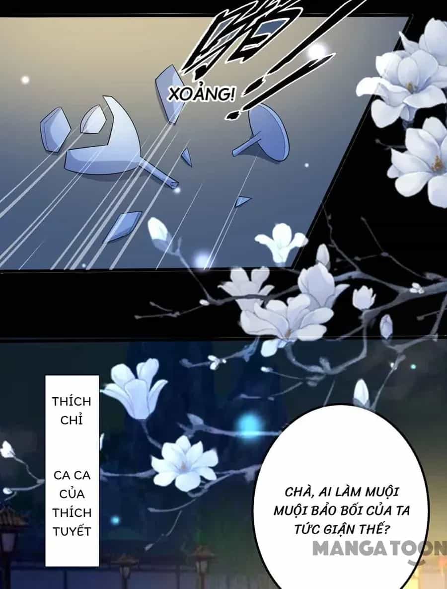 Phúc Hắc Vương Gia Đừng Làm Loạn - Chương 116 - ảnh 19