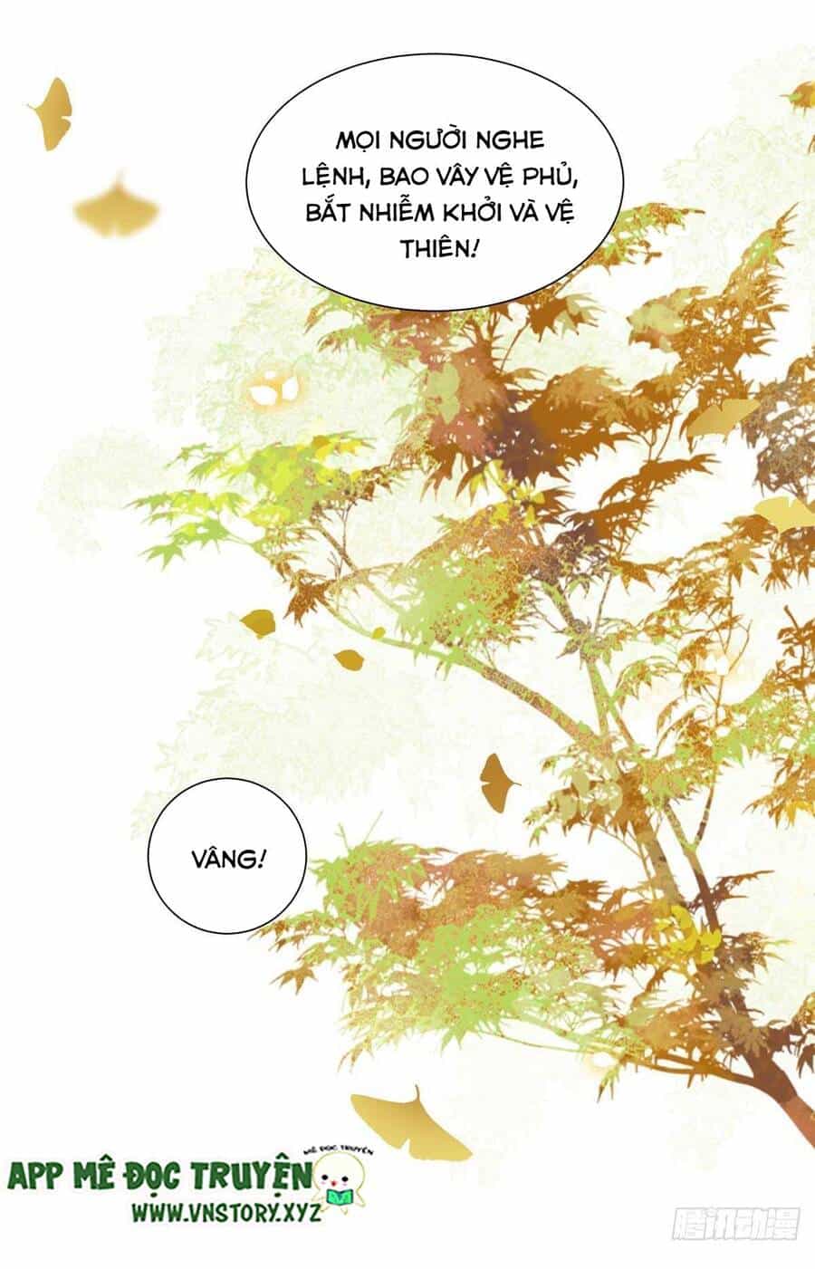 Phượng Hoàng Vu Phi - Chương 124 - ảnh 12