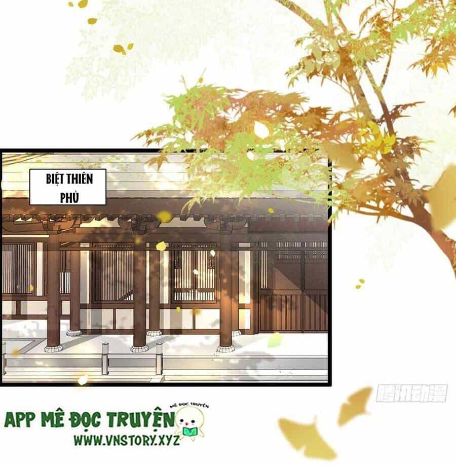 Phượng Hoàng Vu Phi - Chương 125 - ảnh 11