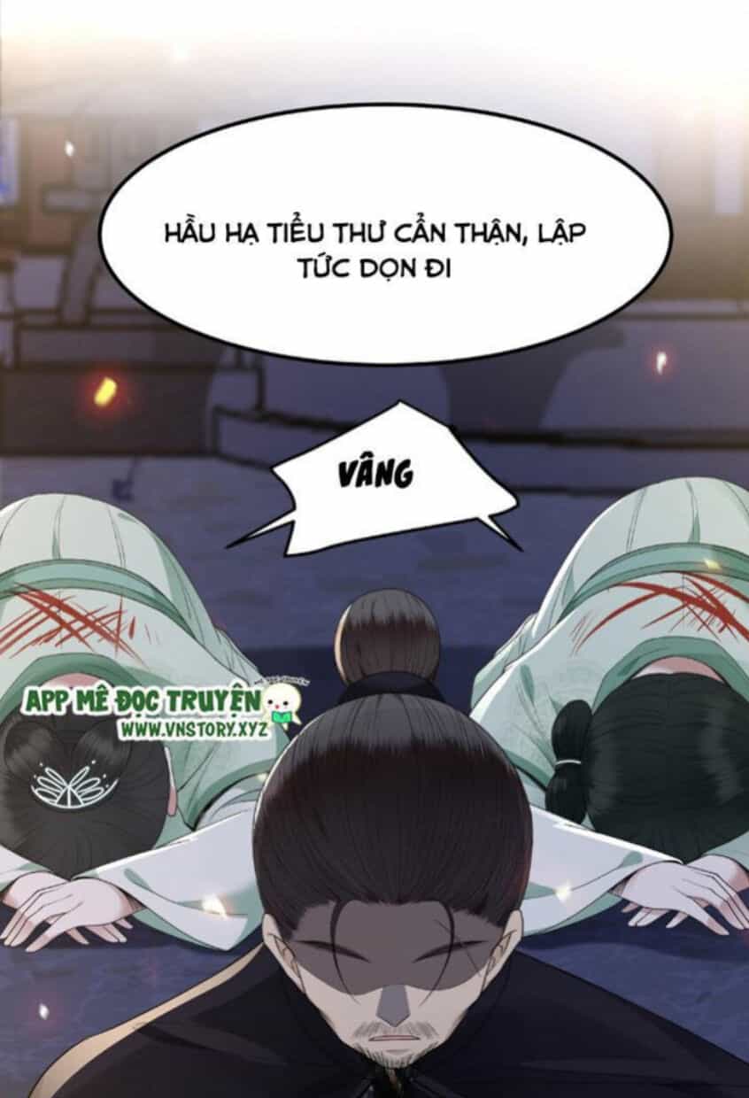 Phượng Hoàng Vu Phi - Chương 14 - ảnh 21