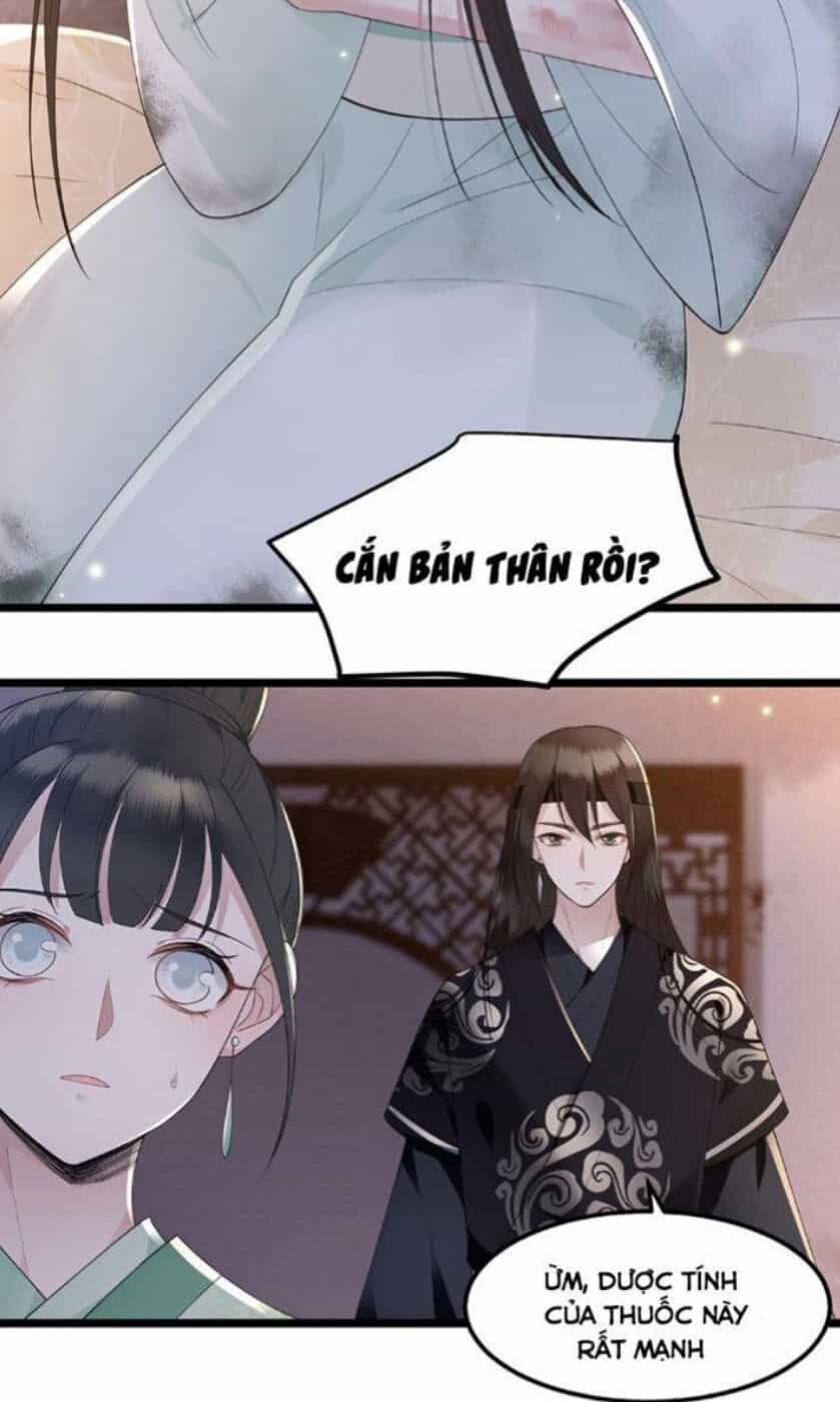 Phượng Hoàng Vu Phi - Chương 15 - ảnh 8