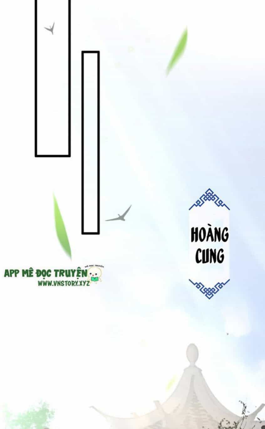 Phượng Hoàng Vu Phi - Chương 17 - ảnh 11