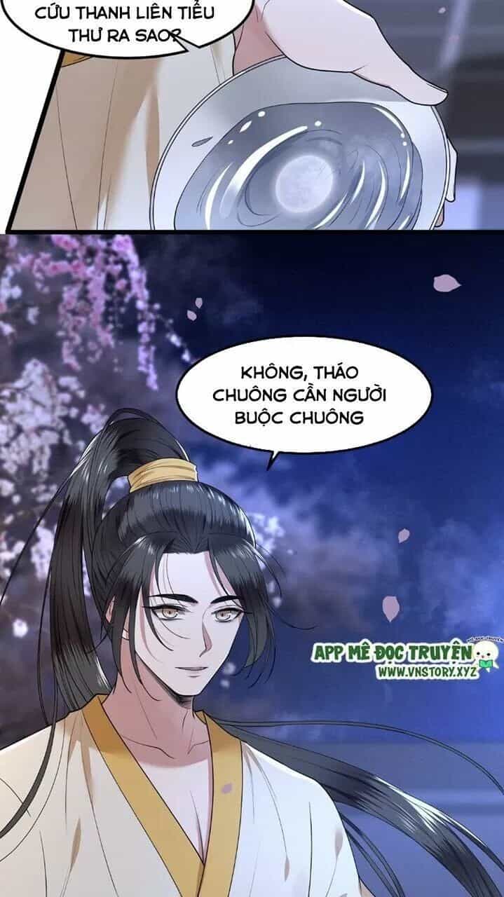 Phượng Hoàng Vu Phi - Chương 26 - ảnh 14
