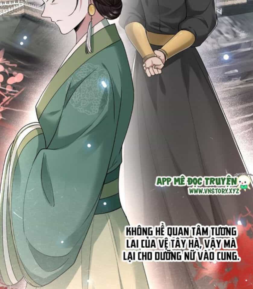 Phượng Hoàng Vu Phi - Chương 28 - ảnh 12