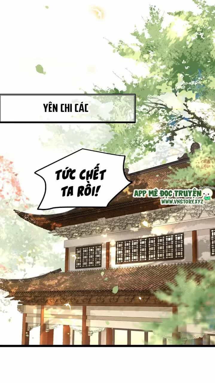 Phượng Hoàng Vu Phi - Chương 41 - ảnh 16