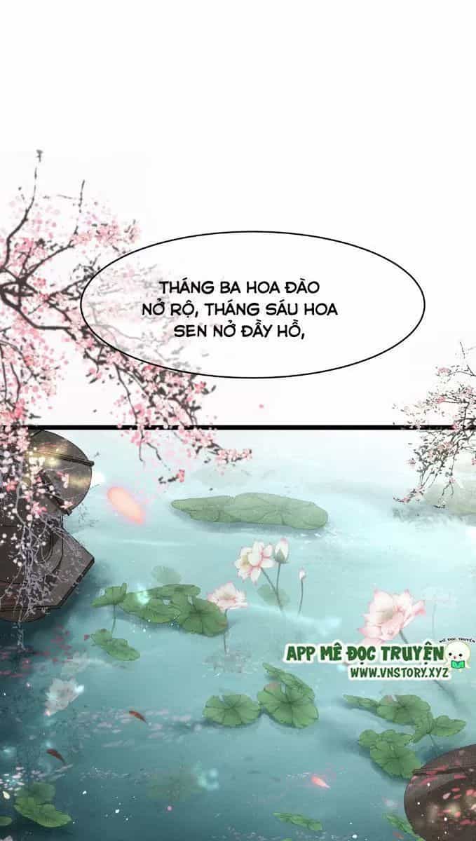 Phượng Hoàng Vu Phi - Chương 6 - ảnh 31