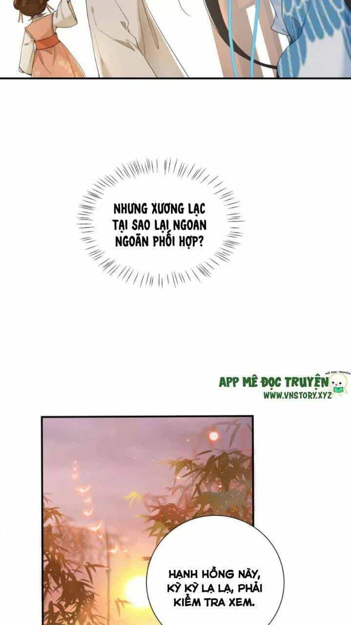 Phượng Hoàng Vu Phi - Chương 71 - ảnh 14