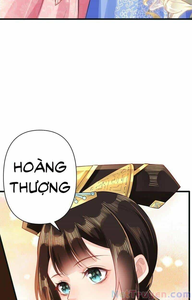 Quận Chúa Vững Vàng, Thiết Lập Nhân Vật Không Thể Vỡ - Chương 49 - ảnh 27