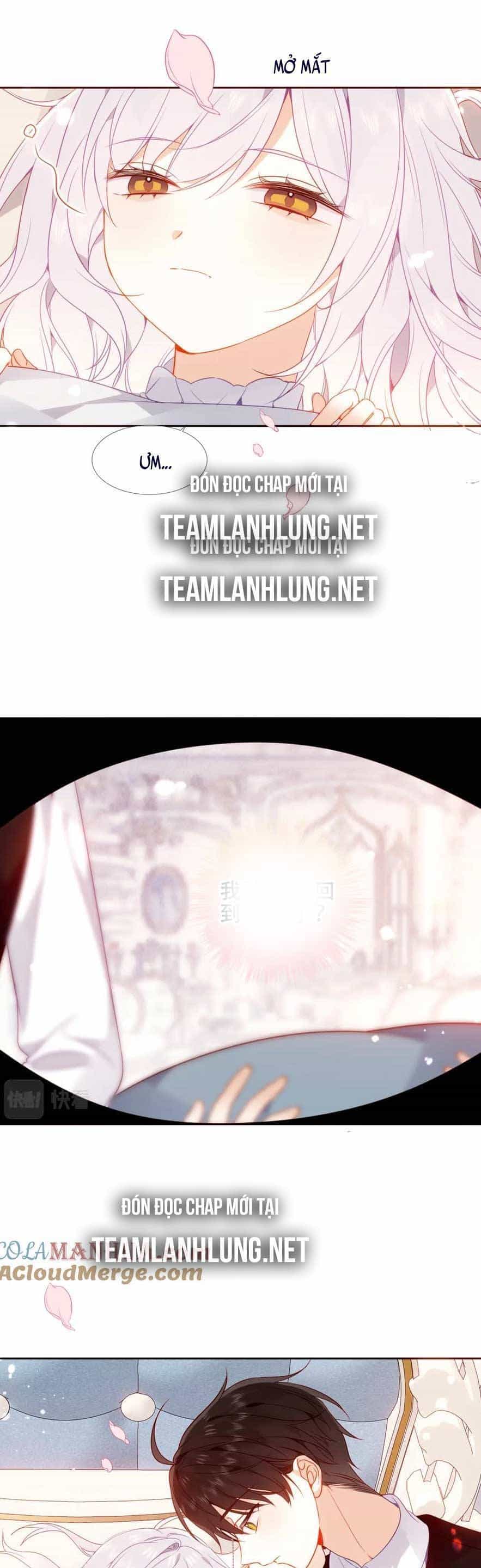 Quán Kịch Bản Trần Mộng - Chương 42 - ảnh 15