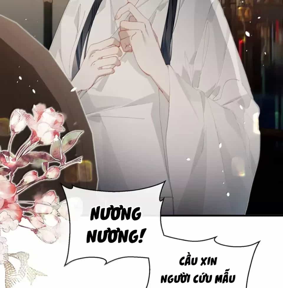 Quấn Quýt - Chương 20 - ảnh 71