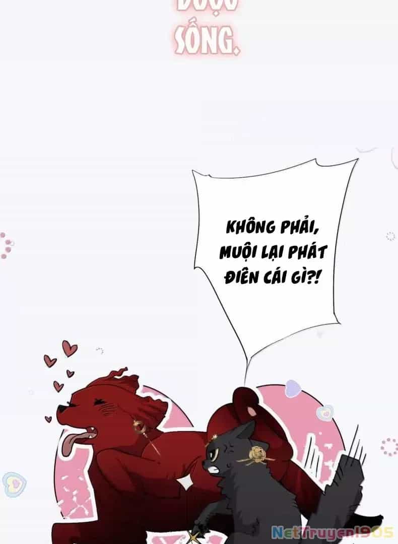 Quấn Quýt - Chương 22 - ảnh 33