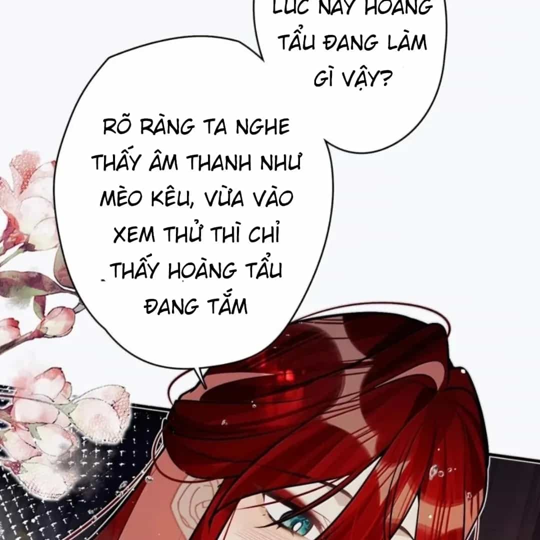 Quấn Quýt - Chương 40 - ảnh 14