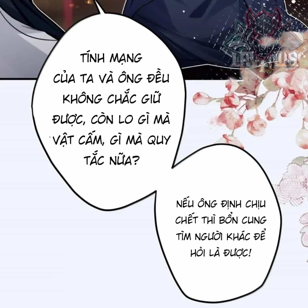 Quấn Quýt - Chương 42 - ảnh 23