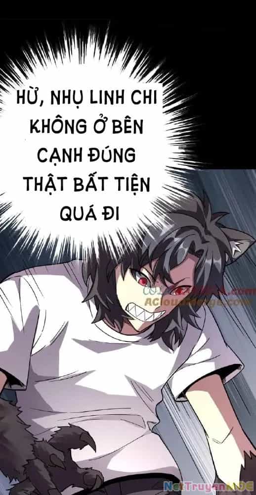 Quỷ Dị Khôi Phục: Ta Có Thể Hóa Thân Thành Đại Yêu - Chương 209 - ảnh 5
