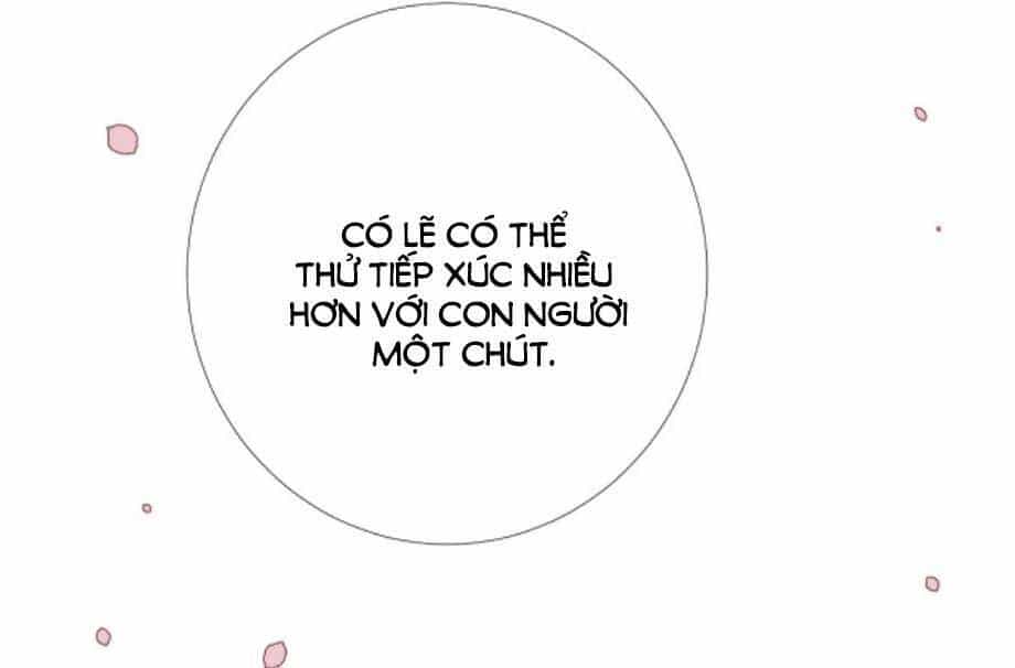 Sao Lại Là Yêu? - Chương 24 - ảnh 38