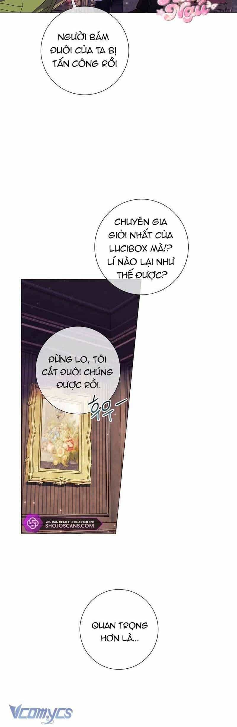 Sao Tôi Có Thể Li Hôn Khi Còn Chưa Kết Hôn Đây, Thưa Bệ Hạ - Chương 10 - ảnh 4