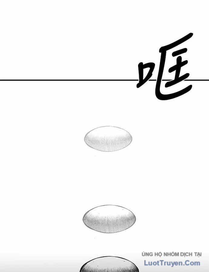 Sát Thủ Anh Vũ - Chương 149 - ảnh 33
