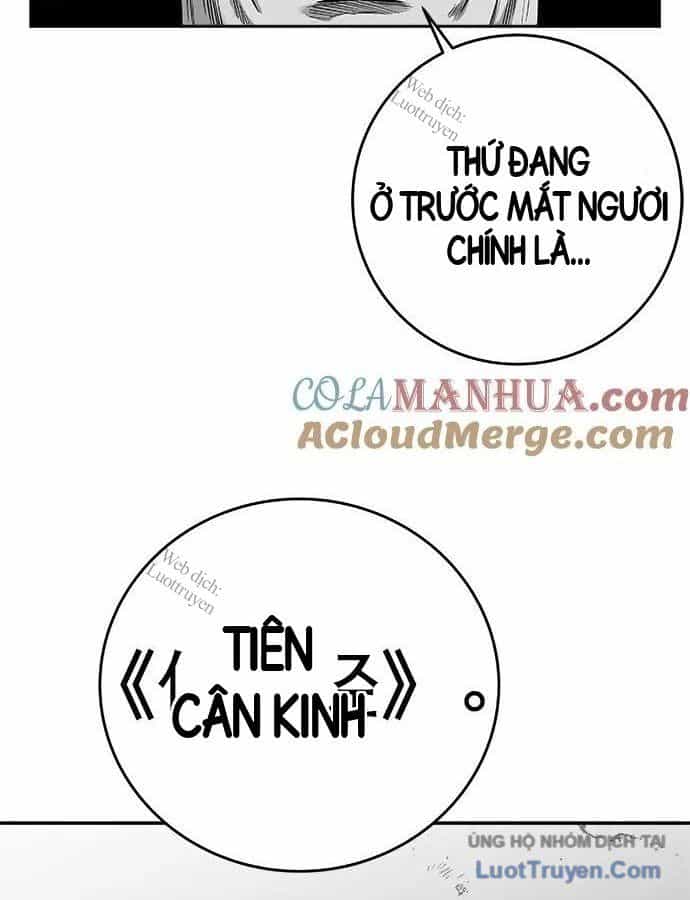 Sát Thủ Anh Vũ - Chương 154 - ảnh 32