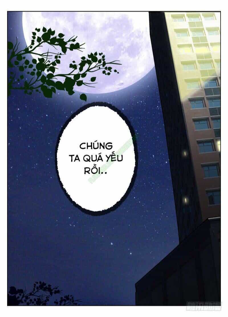 Sát Thủ Bạch Linh - Chương 38 - ảnh 15
