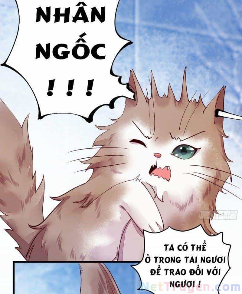 Sát Thủ Vương Phi Không Dễ Chọc - Chương 44 - ảnh 16