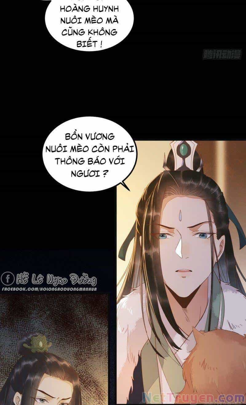 Sát Thủ Vương Phi Không Dễ Chọc - Chương 44 - ảnh 55