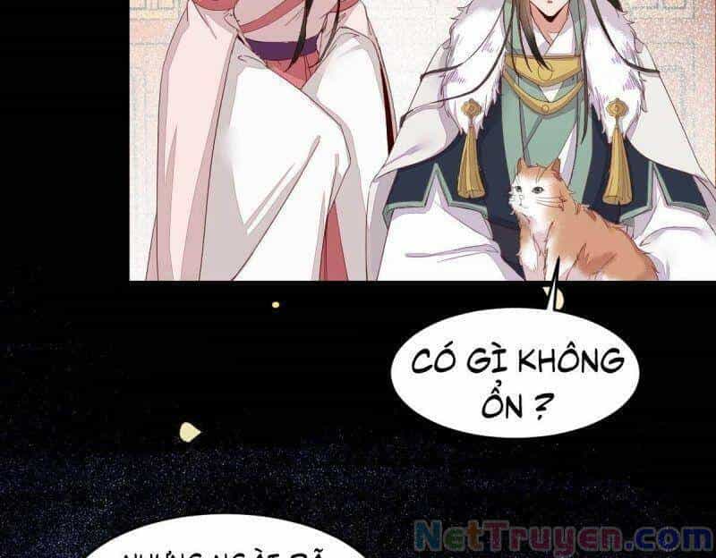 Sát Thủ Vương Phi Không Dễ Chọc - Chương 45 - ảnh 47