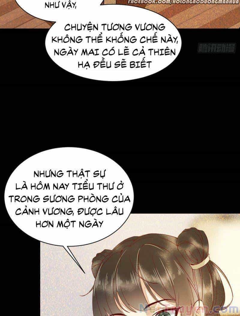 Sát Thủ Vương Phi Không Dễ Chọc - Chương 46 - ảnh 31