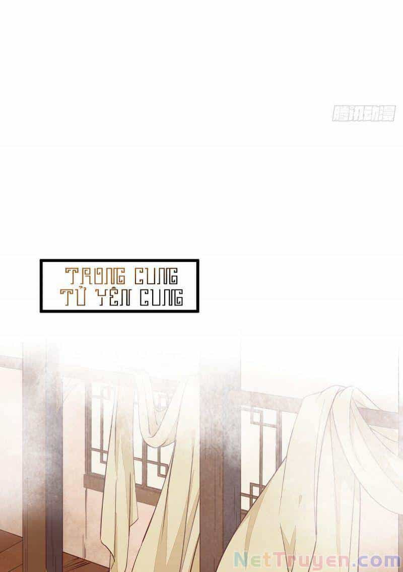 Sát Thủ Vương Phi Không Dễ Chọc - Chương 47 - ảnh 12