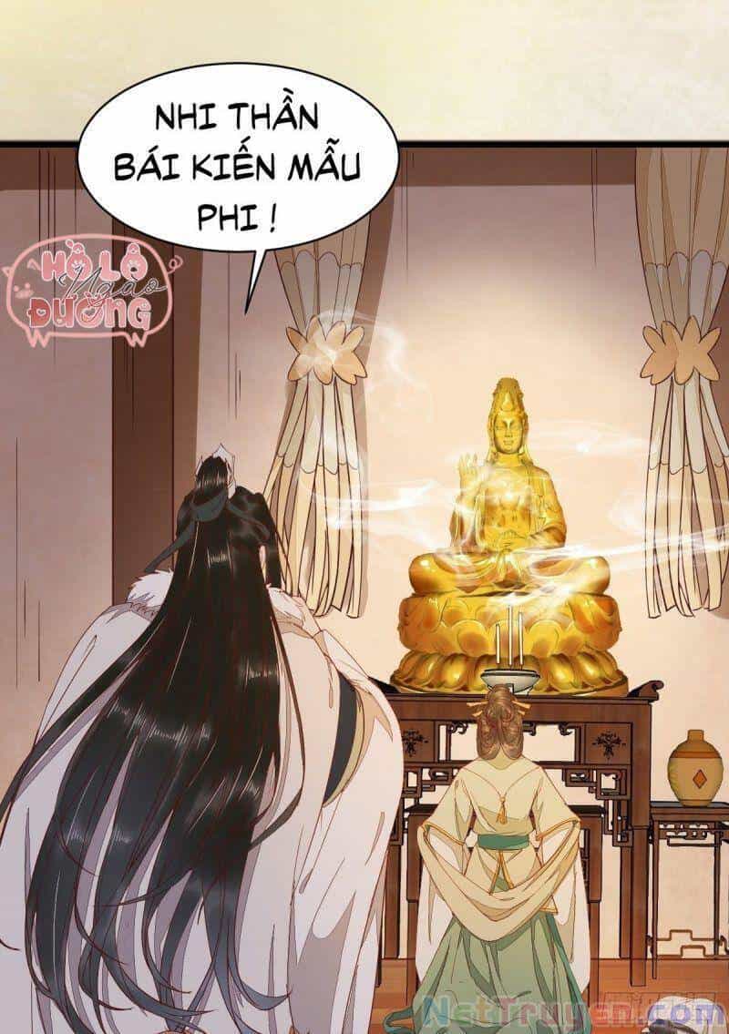 Sát Thủ Vương Phi Không Dễ Chọc - Chương 47 - ảnh 15