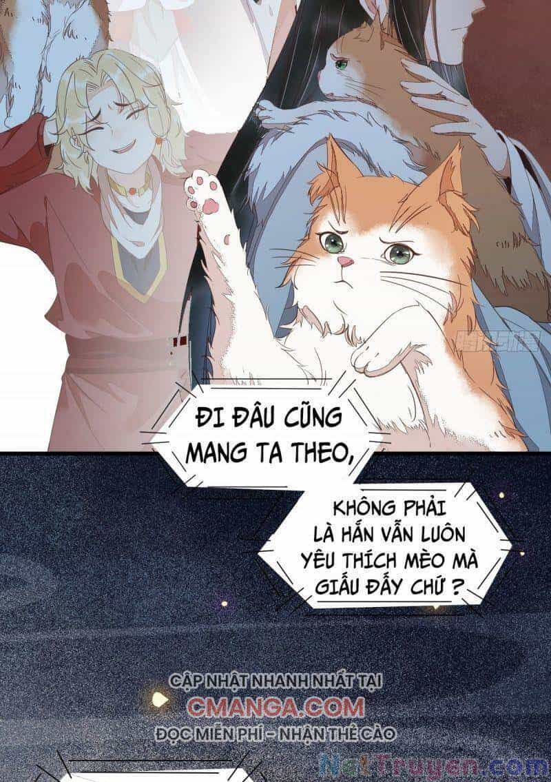 Sát Thủ Vương Phi Không Dễ Chọc - Chương 47 - ảnh 6