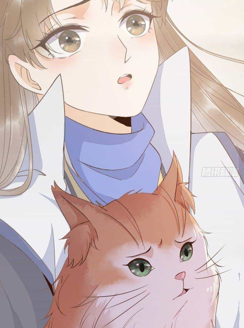 Sát Thủ Vương Phi Không Dễ Chọc - Chương 48 - ảnh 57