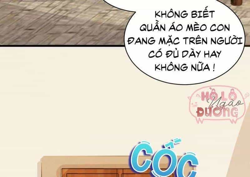 Sát Thủ Vương Phi Không Dễ Chọc - Chương 49 - ảnh 46