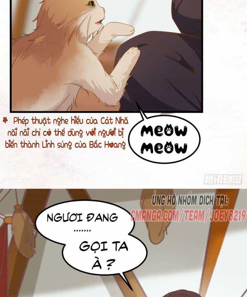 Sát Thủ Vương Phi Không Dễ Chọc - Chương 56 - ảnh 25